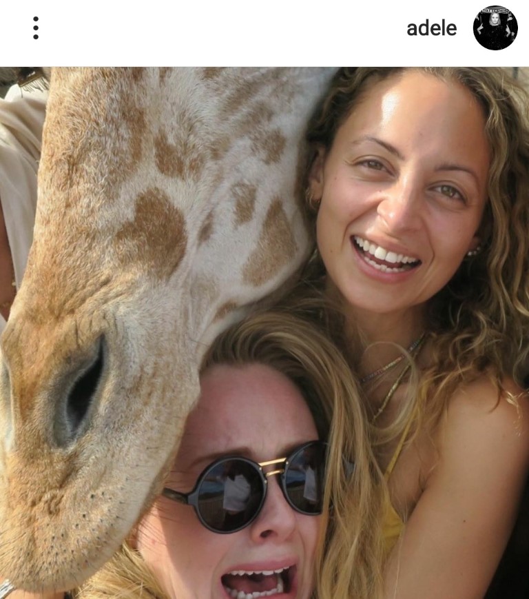ניקול ריצ'י ואדל