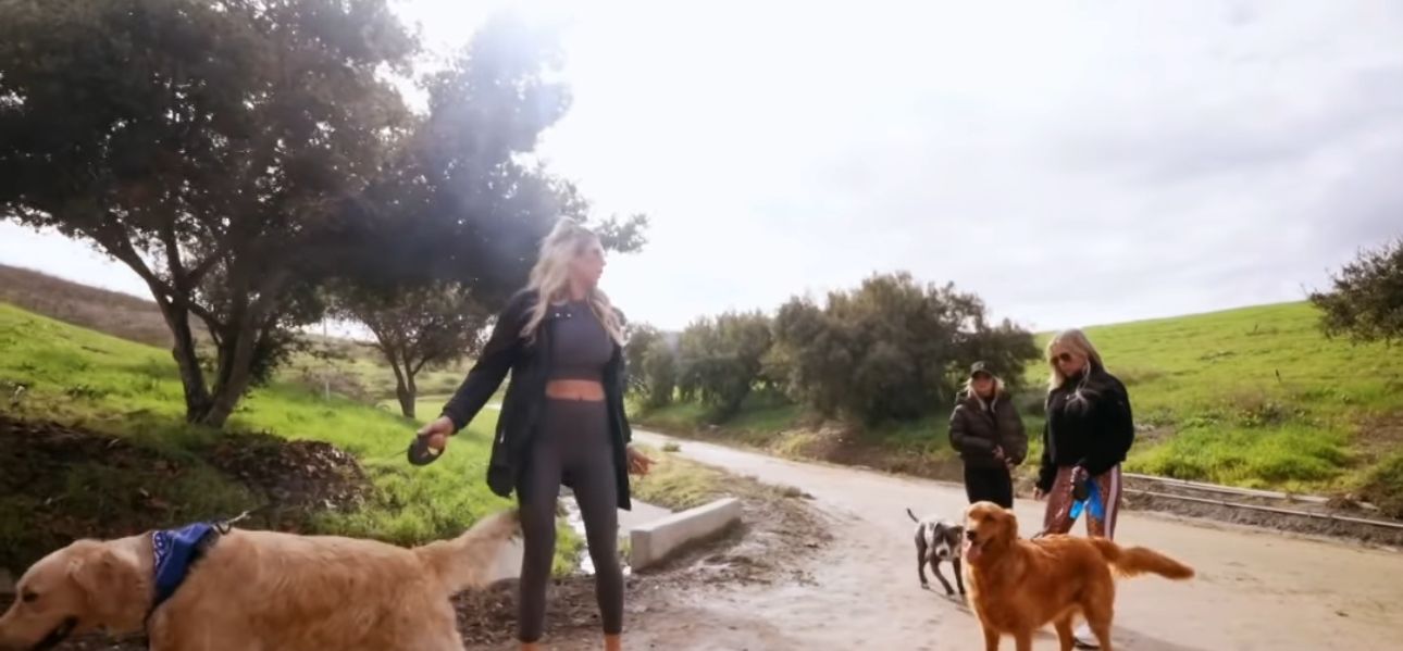 אלכסיס בלינו